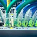 The Foundation of Success: The Role of Network Cabling in Business Growth